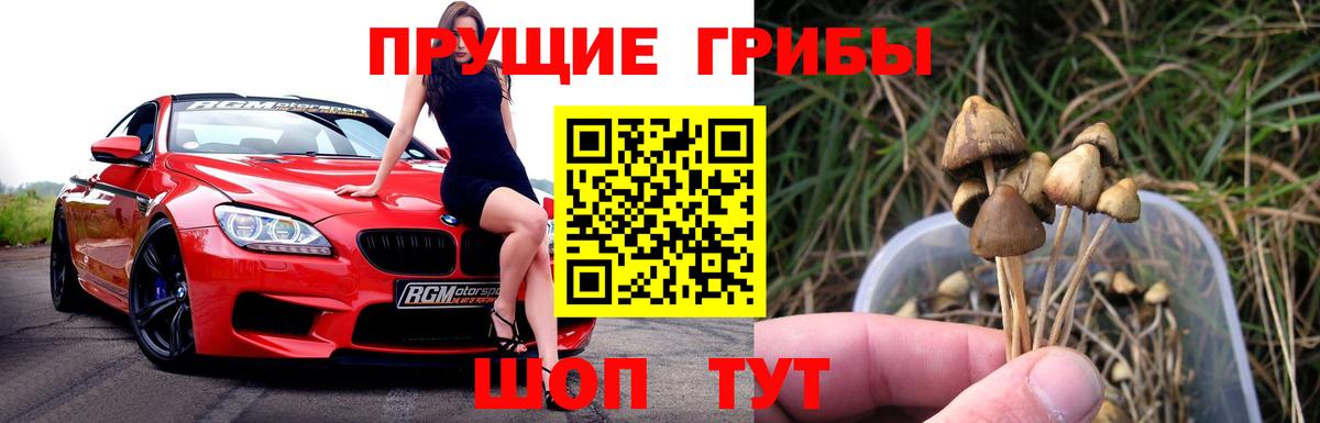 Нягань  Галлюциногенные грибы мухоморы  Вход с VPN  Галлюциногенные грибы прущие грибы 